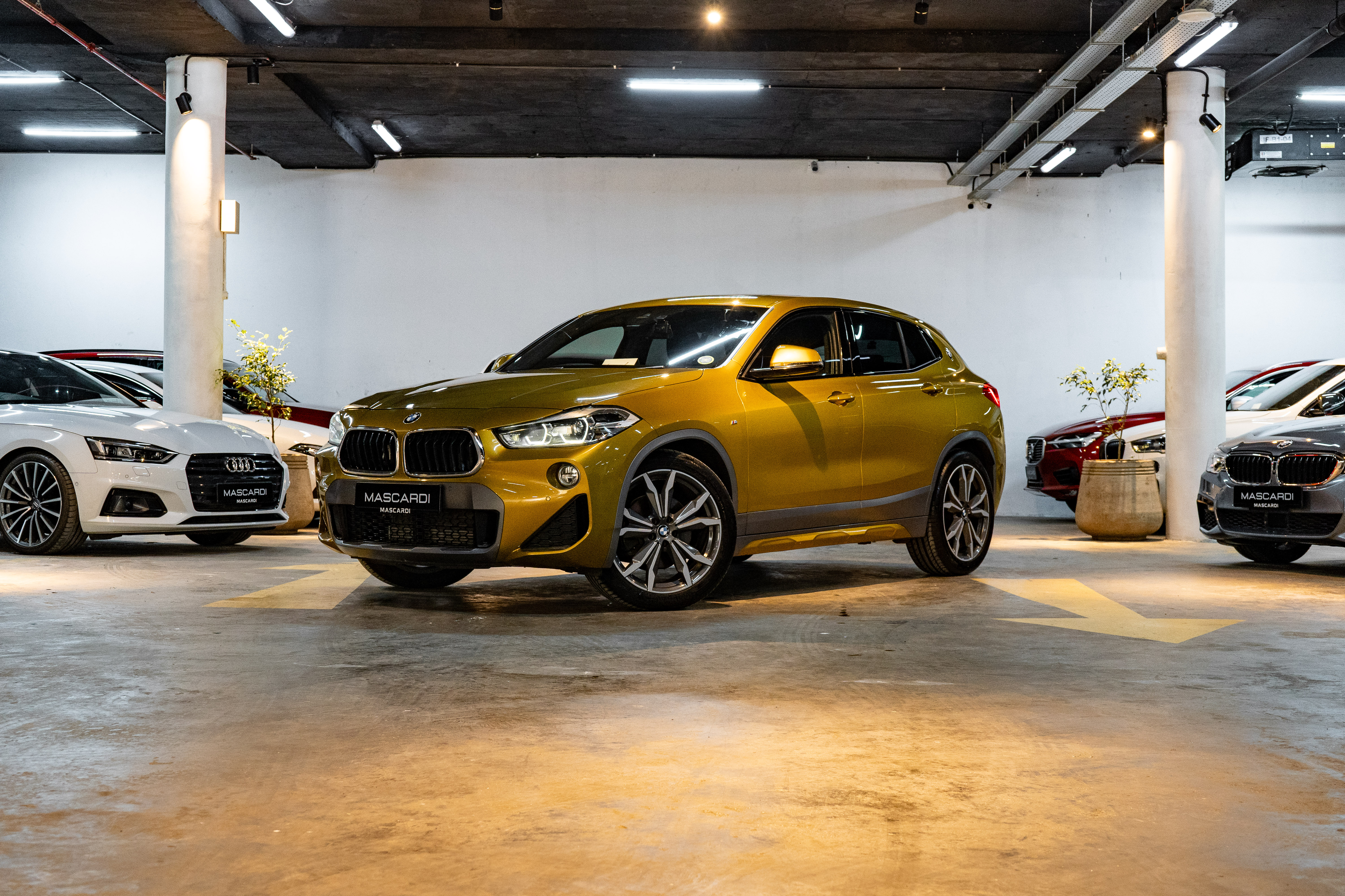 BMW X2