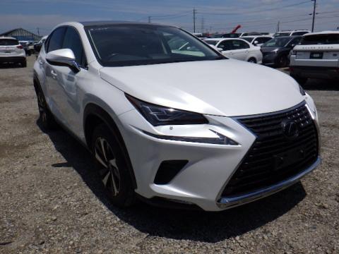 2019 Lexus NX 300